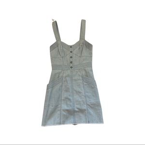 Express Denim Dress